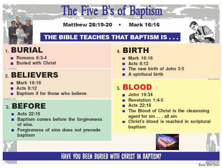 Barnes Bible Charts